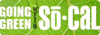 Green Auto Detail Wash